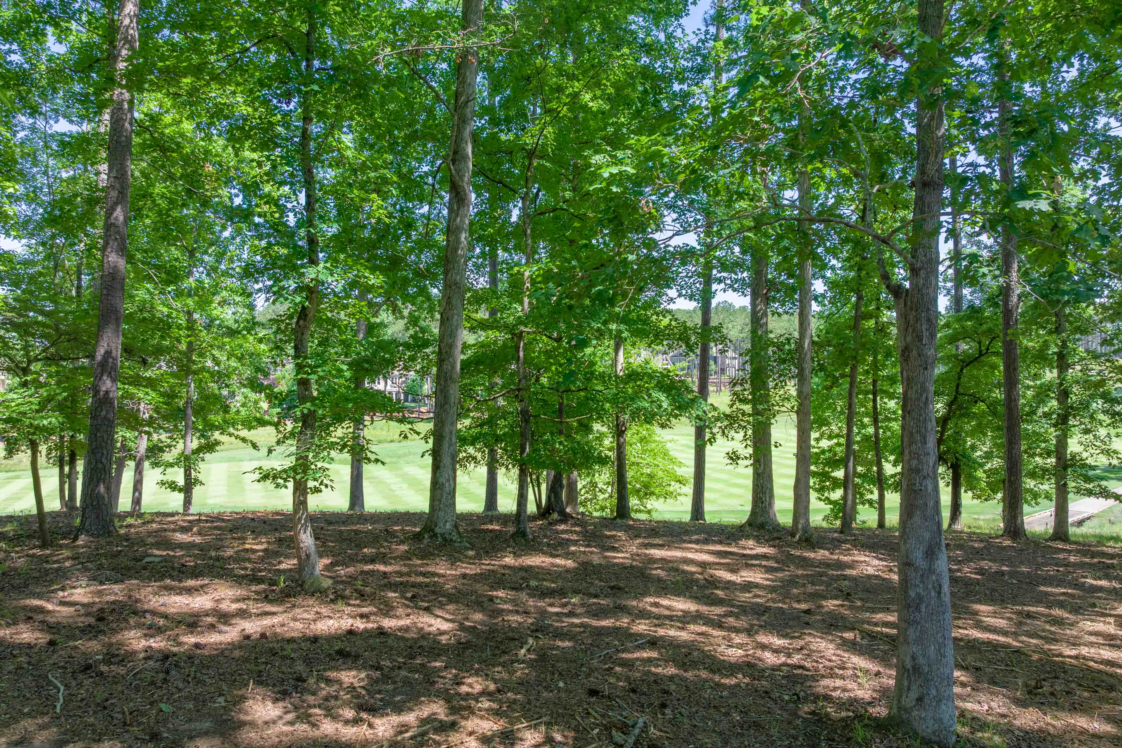 1040 Bunker Bend image 7